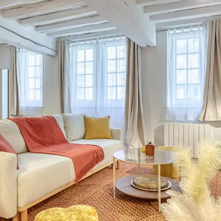 Appartement Matisse Elegant F2 Proche Vieux-marche *